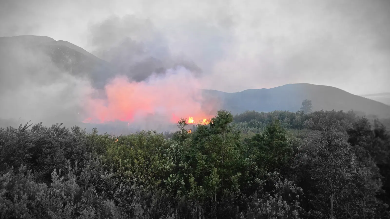 Fire burning in the mountains near Greyton