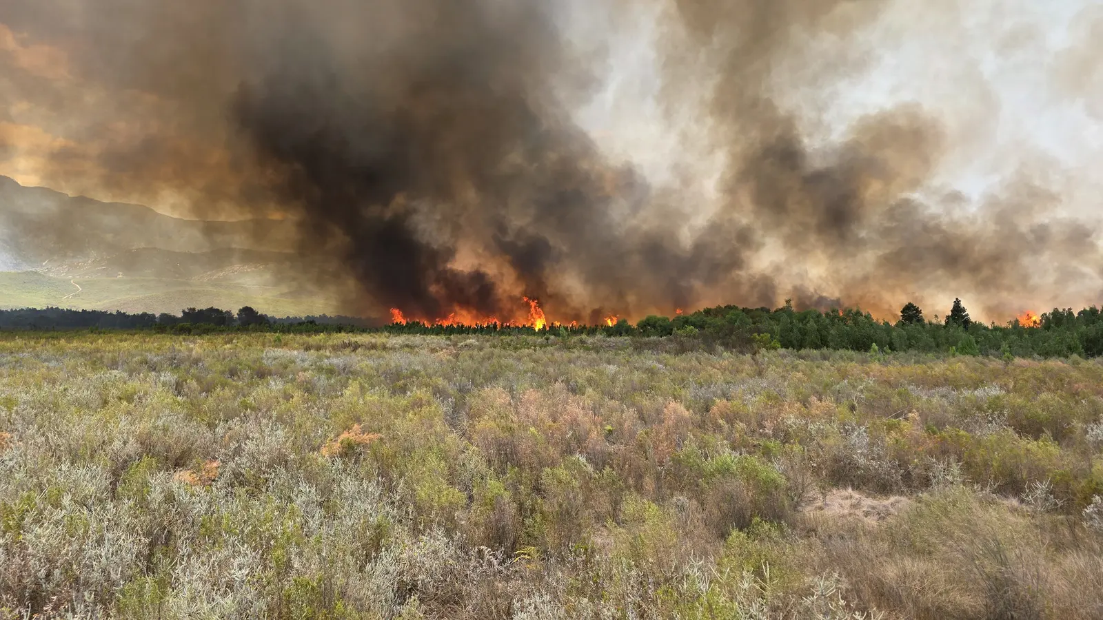 Vegetation fire line burning across an open field