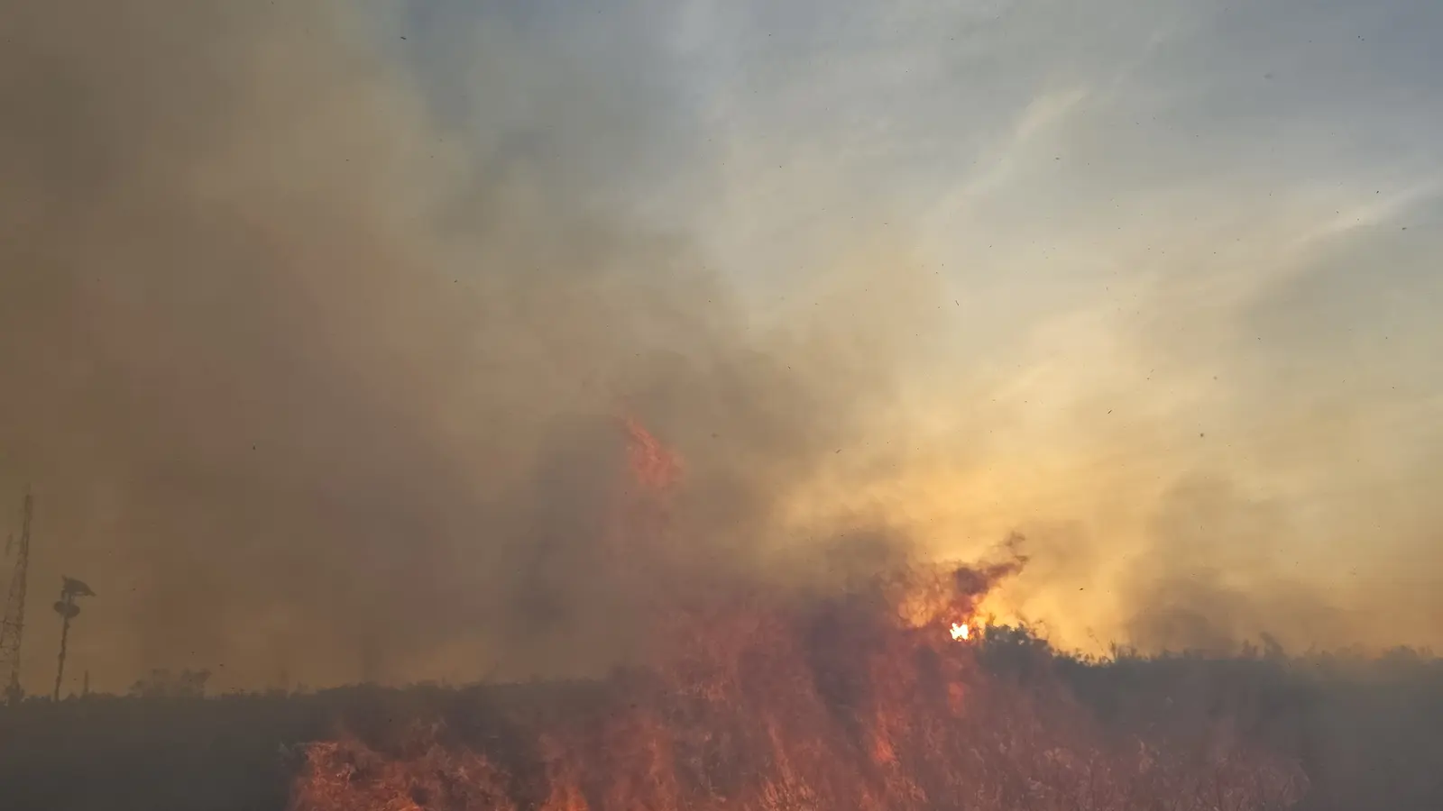 Smoke and flames during a vegetation fire